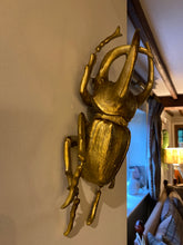 Golden Beetle Wall decor