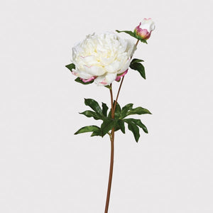White Real Feel Open Peony with Bud and Leaves