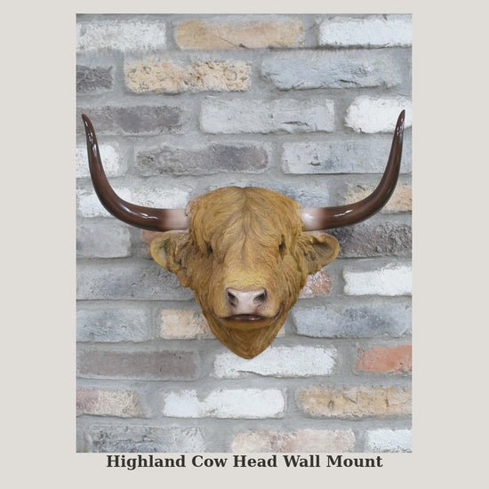 Photo gallery video of the Highland cow head wall mount