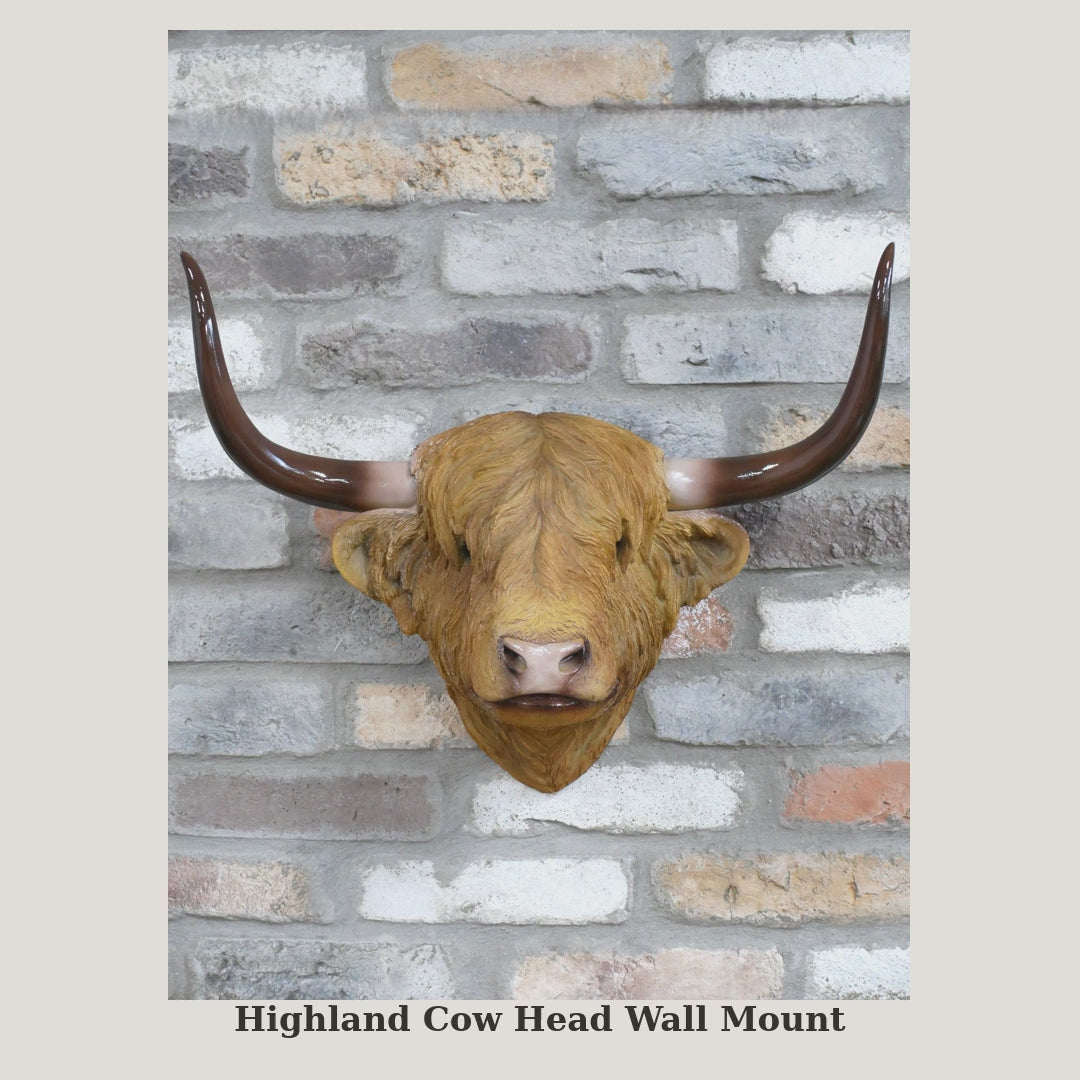 Photo gallery video of the Highland cow head wall mount