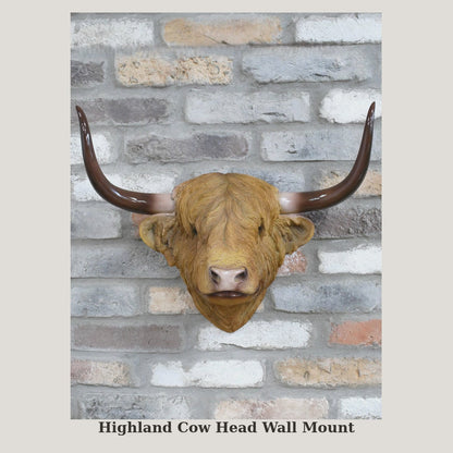 Photo gallery video of the Highland cow head wall mount