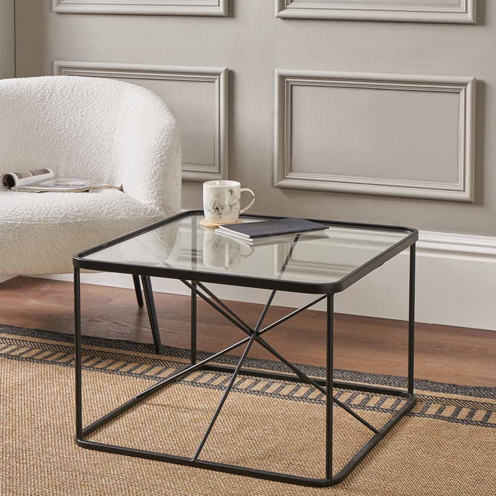 Roxy glass and black metal coffee table styled in a contemporary interior