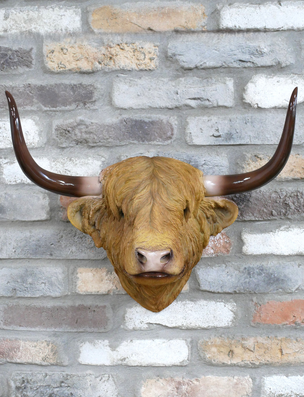 Large Highland cow head wall mount, front view