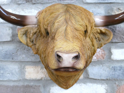 Large Highland cow head wall mount, face and horn detail