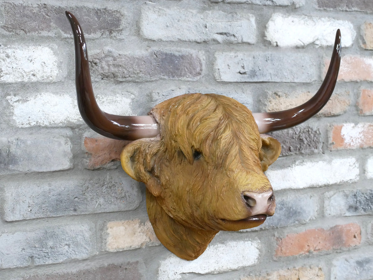 Large Highland cow head wall mount, side view
