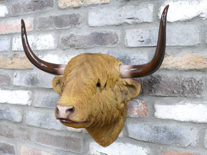Large Highland cow head wall mount, opposite side view