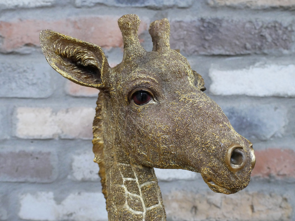 Giraffe bust sculpture, face and patterned surface detail