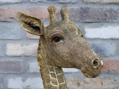 Giraffe bust sculpture, face and patterned surface detail