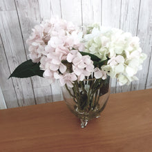 Hydrangea in Glass vase