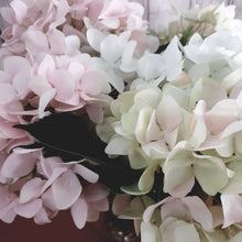 Hydrangea in Glass vase
