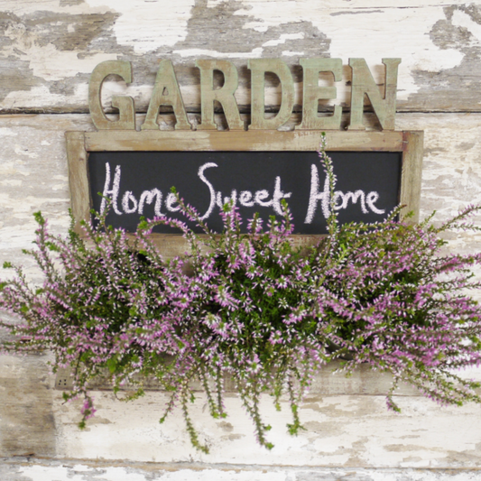 Garden Wall Planter