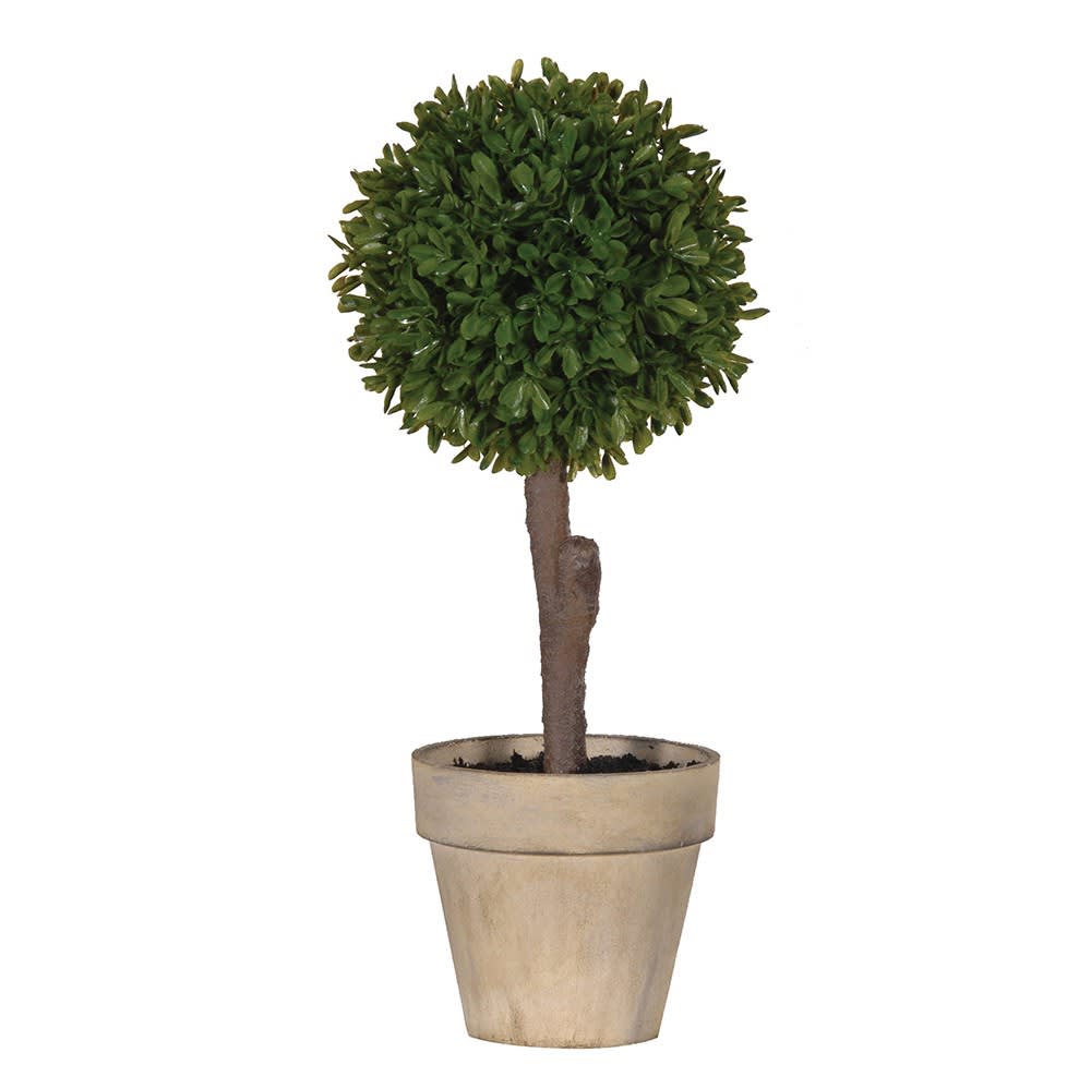 Miniature Boxwood Ball Plant in Stone-look Pot