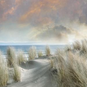 Windswept Canvas