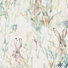Jack Rabbit Wallpaper