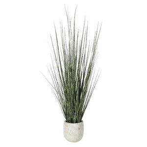 Brown & Green Mottled Onion Grass in Cream Stone-look Pot