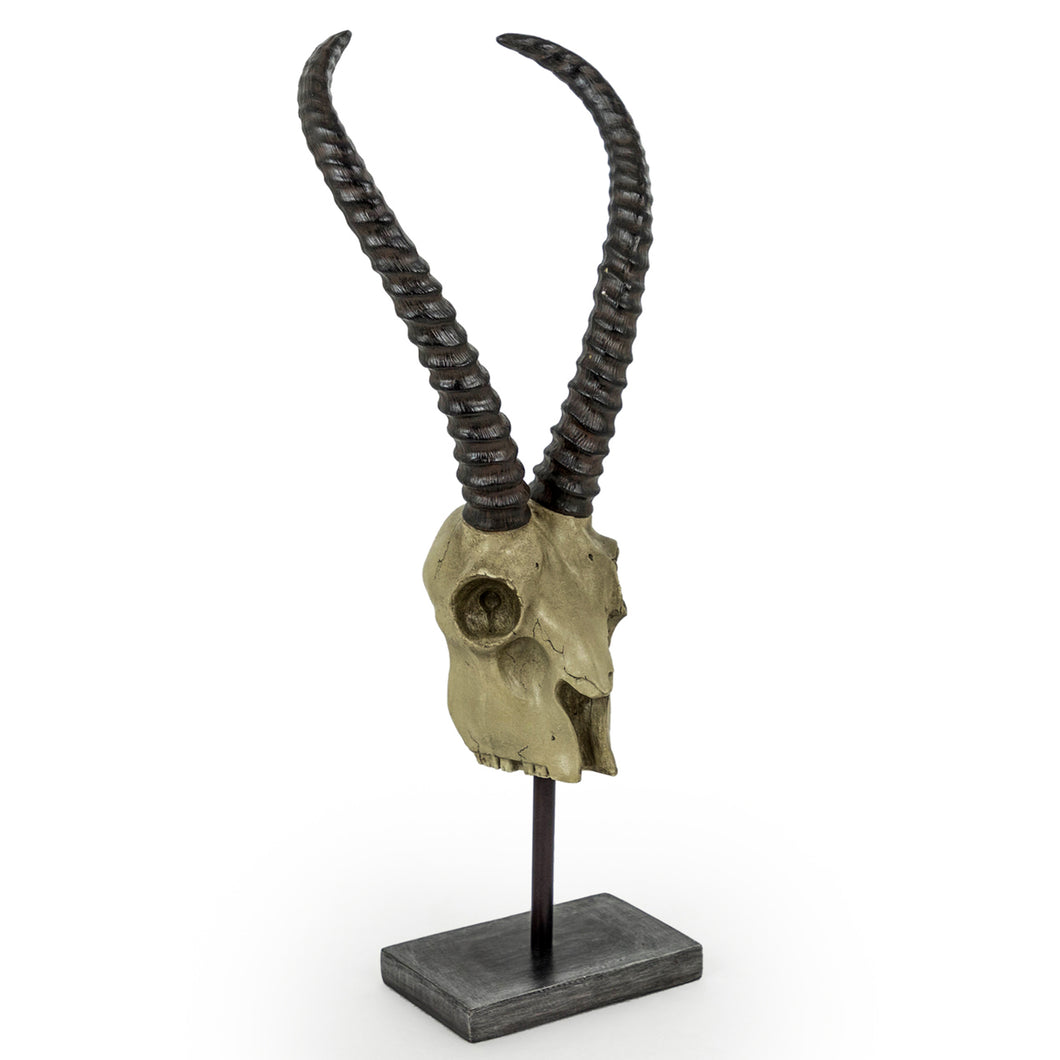 Decorative Antelope skull on stand