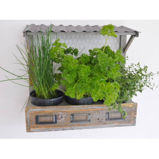 Herb Planter