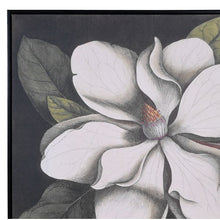 Magnolia Picture