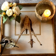 Giraffe Square Tray