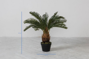 Faux Cycad stunning plant