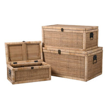 Set of 3 Rattan Trunks