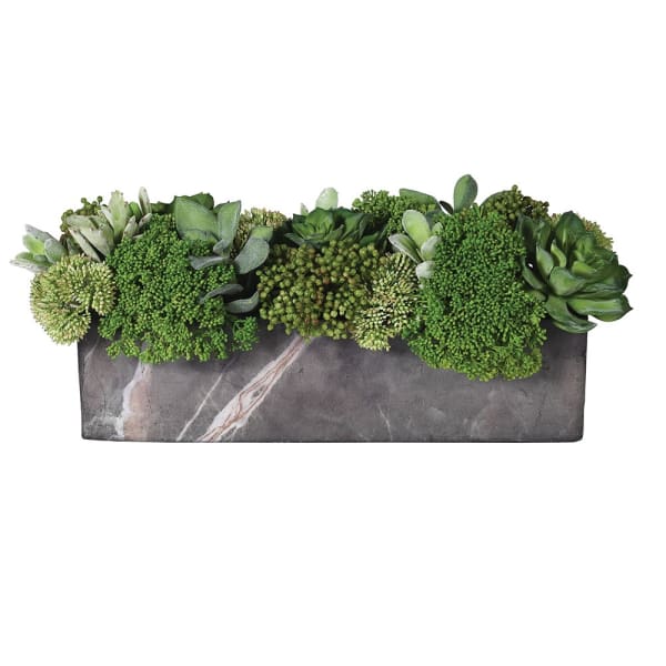 Succulent and Skimmia Arrangement in Faux Marble
