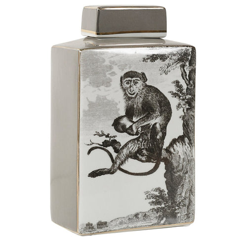 Monkey Jar