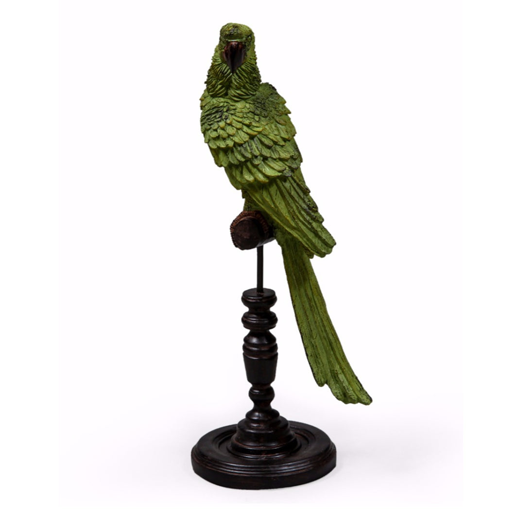 Green Parrot on perch
